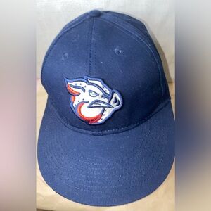 Lehigh Valley Basketball hat youth one size